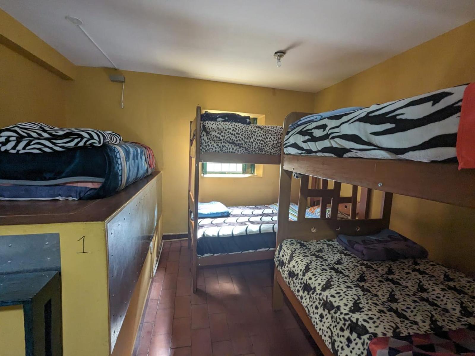Lord Shiva Hostel 쿠스코 외부 사진